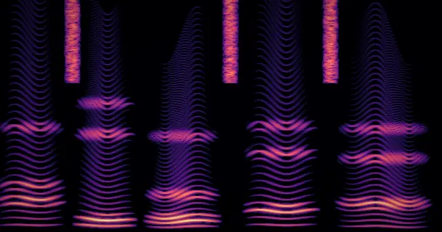 A spectrogram of human speech showing harmonic bands and formants in magenta and gold on black